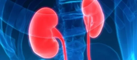 Enfermedad renal crónica